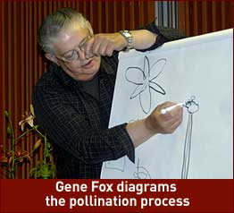 Gene Fox diagrams the pollination process